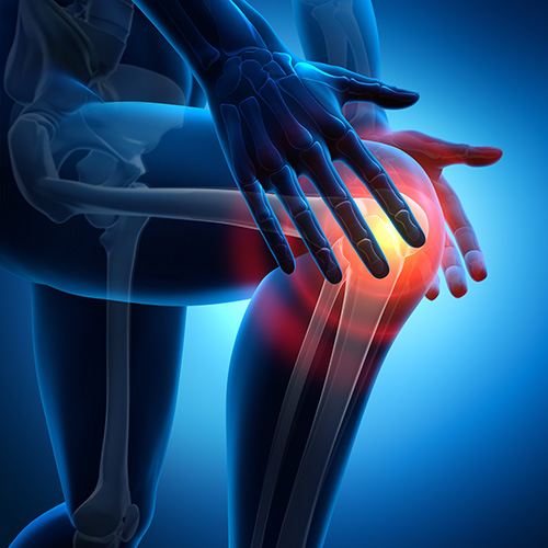Knee